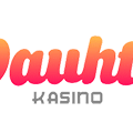 Vauhti Casino