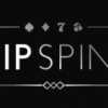 VIP Spins Casino