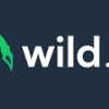 Wild.io Casino