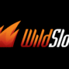 Wild Slots Casino