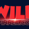 Wild Spinner Casino
