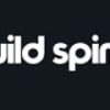 Wild Spins Casino