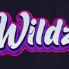 Wildz.io Casino