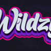 Wildzy Casino