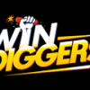 Win Diggers Casino