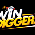 Win Diggers Casino