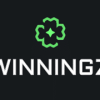 Winningz Casino