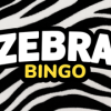 Zebra Bingo Casino