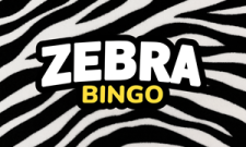 Zebra Bingo Casino