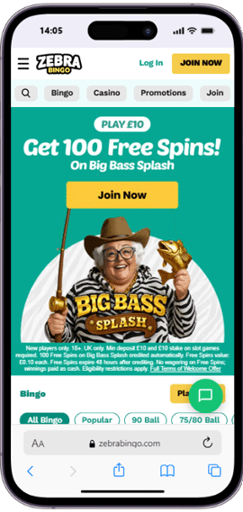 Zebrabingo casino mobile screenshot
