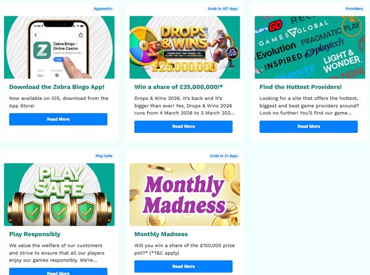 Zebrabingo casino promotions screenshot